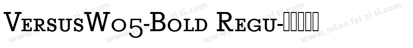 VersusW05-Bold Regu字体转换
